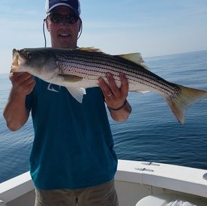 Meet your Posher, Allan